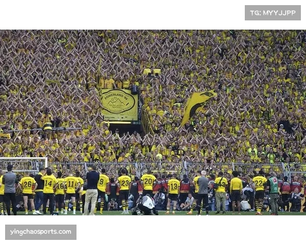 欧冠热潮带动草根足球发展，各地球迷组织观赛活动